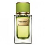 DOLCE & GABBANA Velvet Mughetto