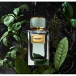 DOLCE & GABBANA Velvet Infusion